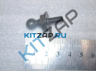 �������� ����� ����� �����